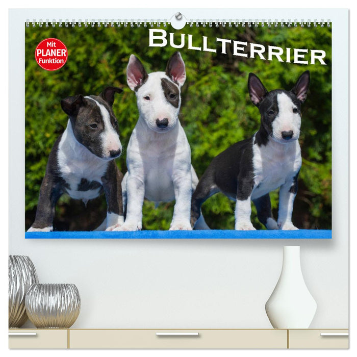 Bullterrier (CALVENDO Premium Wandkalender 2025)
