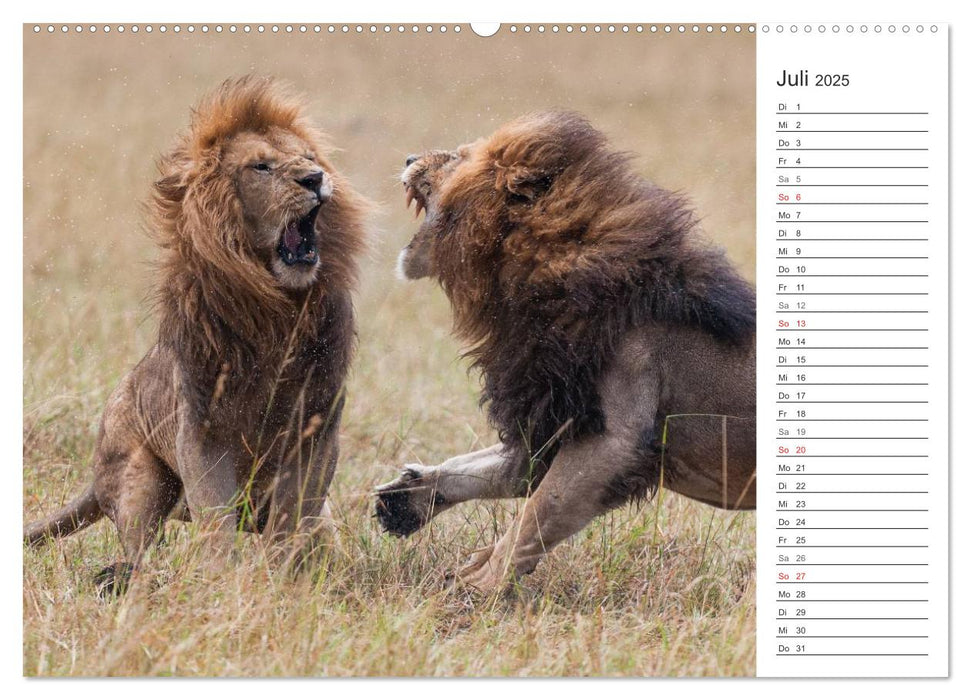 Emotionale Momente: Jagen in Afrika. (CALVENDO Premium Wandkalender 2025)