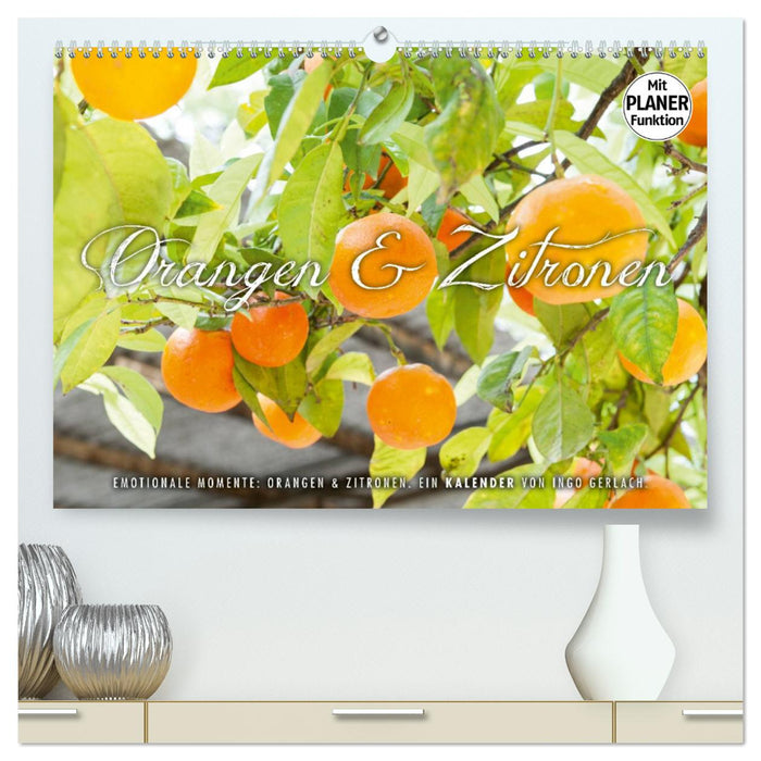 Emotionale Momente: Orangen und Zitronen. (CALVENDO Premium Wandkalender 2025)