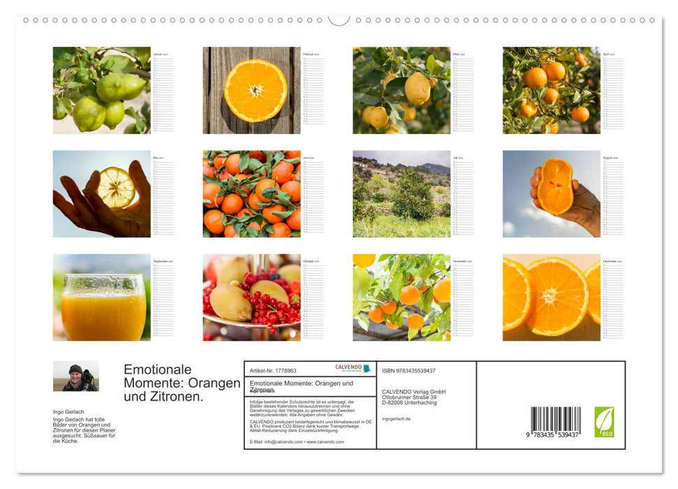 Emotionale Momente: Orangen und Zitronen. (CALVENDO Premium Wandkalender 2025)