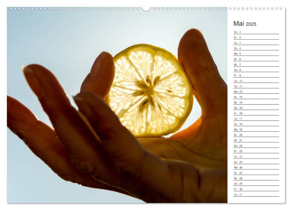 Emotionale Momente: Orangen und Zitronen. (CALVENDO Premium Wandkalender 2025)