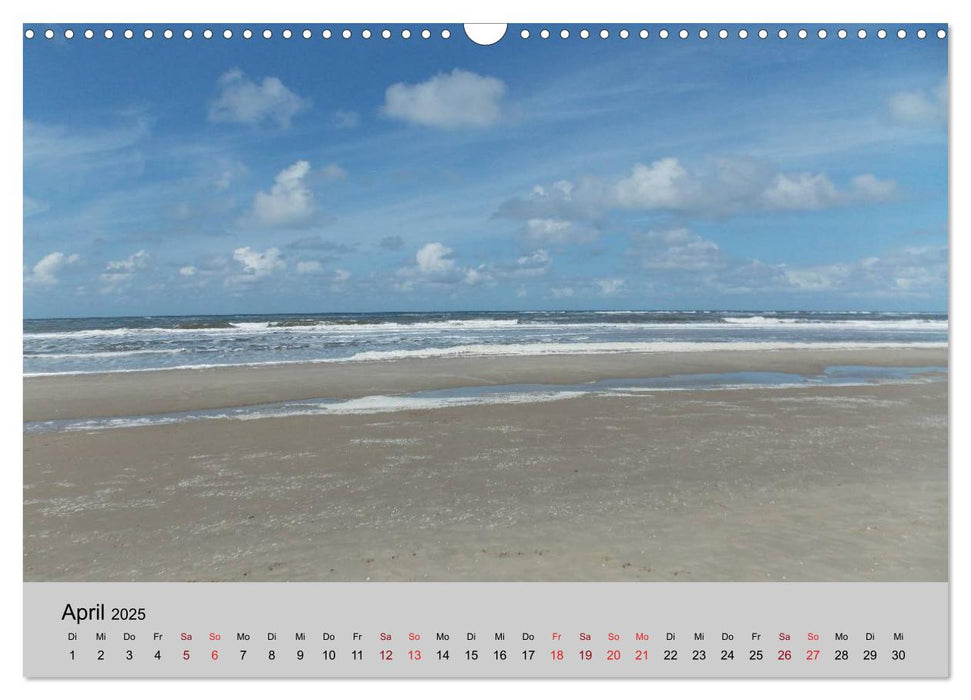 Blicke hinaus aufs Meer (CALVENDO Wandkalender 2025)