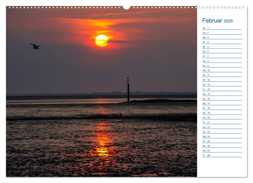 Wattenmeer (CALVENDO Premium Wandkalender 2025)