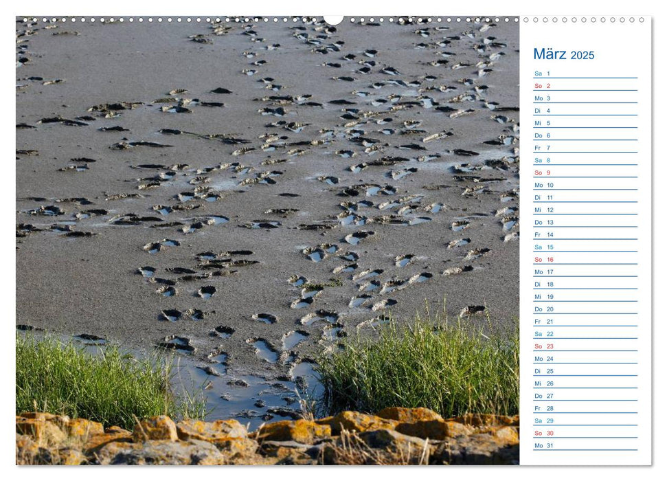 Wattenmeer (CALVENDO Premium Wandkalender 2025)