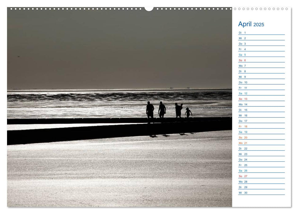 Wattenmeer (CALVENDO Premium Wandkalender 2025)