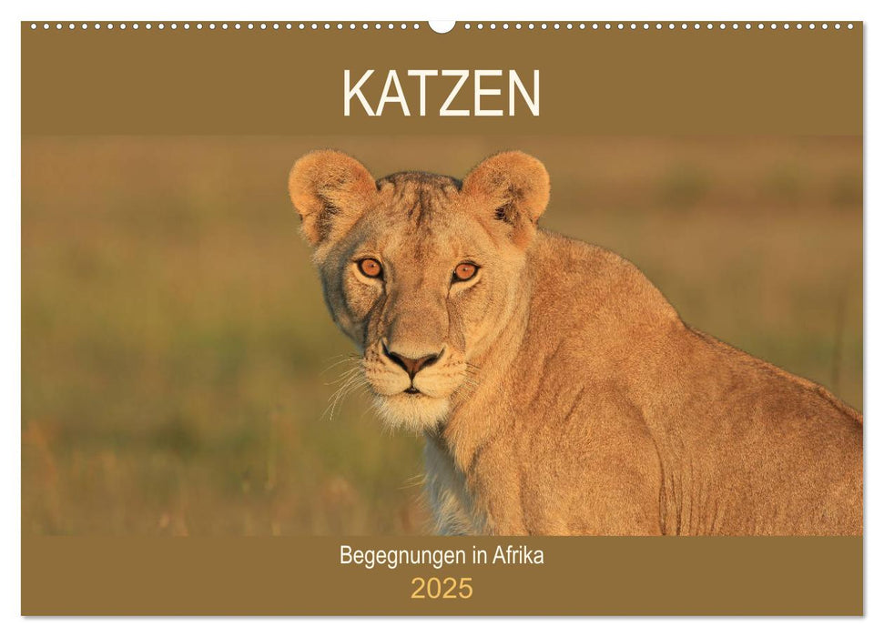 Katzen - Begegnungen in Afrika (CALVENDO Wandkalender 2025)