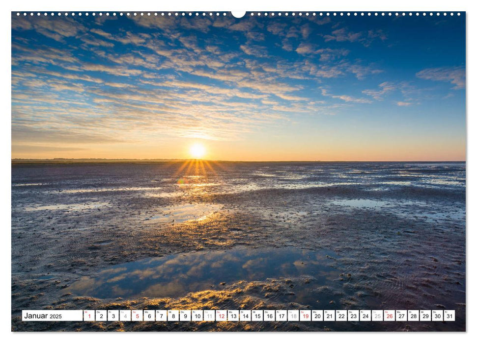 Eiderstedt - Willkommen am Watt (CALVENDO Premium Wandkalender 2025)