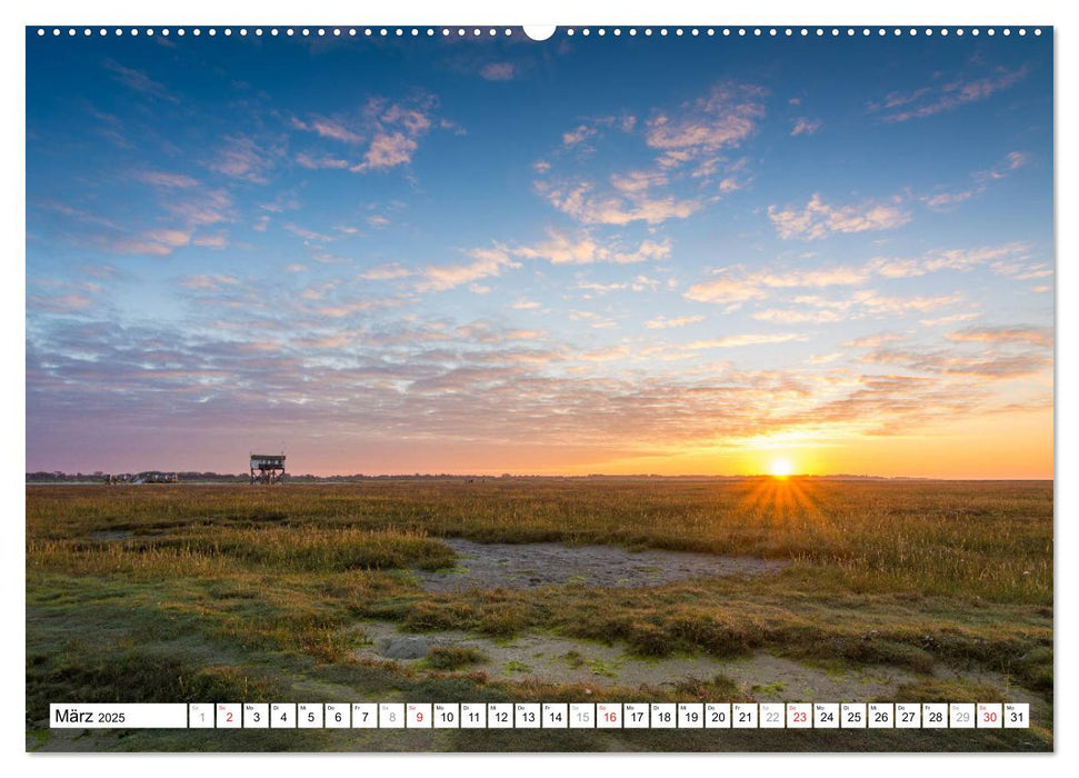 Eiderstedt - Willkommen am Watt (CALVENDO Premium Wandkalender 2025)