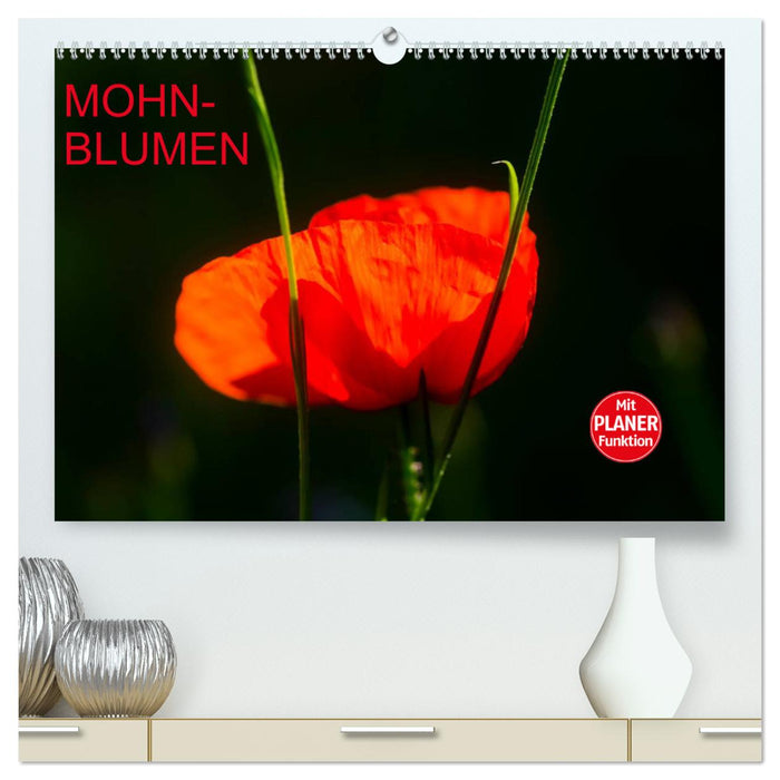 Mohnblumen (CALVENDO Premium Wandkalender 2025)