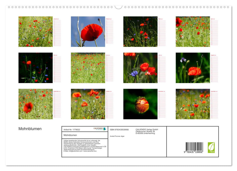 Mohnblumen (CALVENDO Premium Wandkalender 2025)