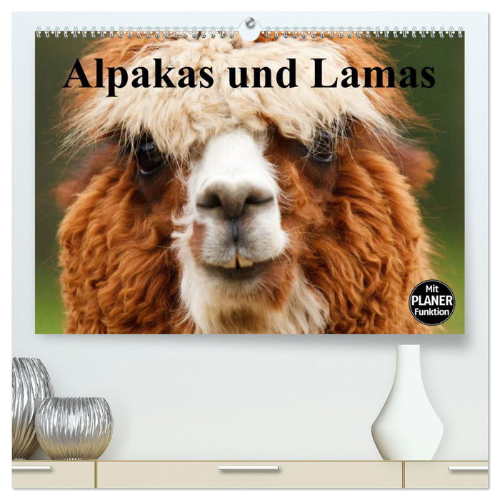 Alpakas und Lamas (CALVENDO Premium Wandkalender 2025)