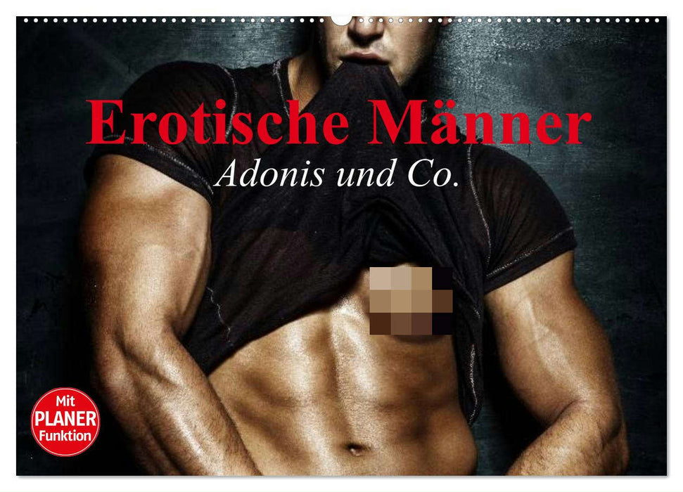 Erotische Männer. Adonis und Co. (CALVENDO Wandkalender 2025)