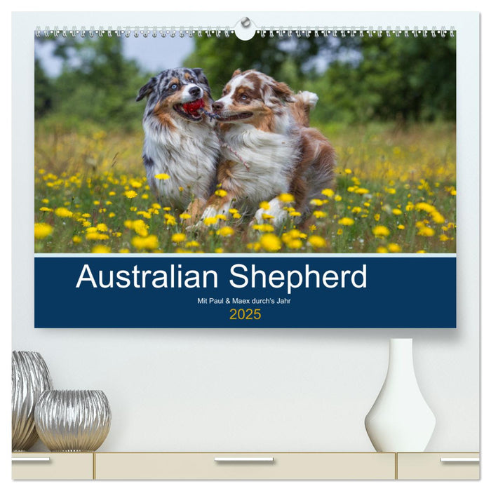 Australian Shepherd 2025 (CALVENDO Premium Wandkalender 2025)