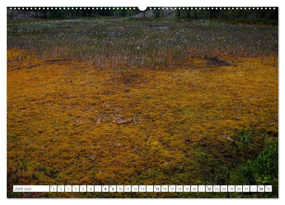 Nordschweden (CALVENDO Wandkalender 2025)