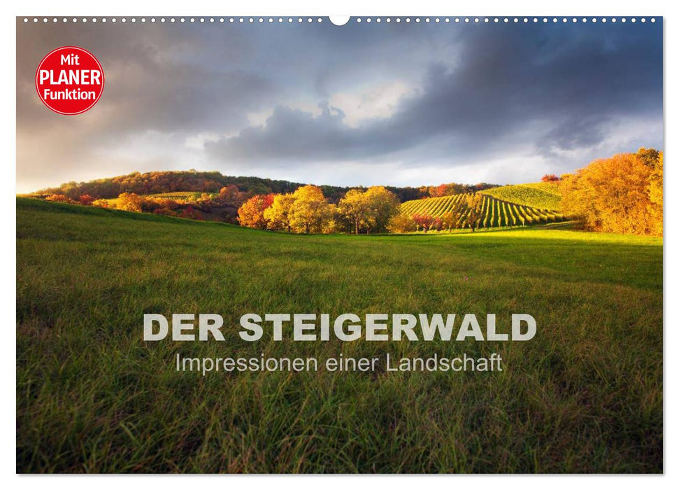 DER STEIGERWALD - Impressionen einer Landschaft (CALVENDO Wandkalender 2025)