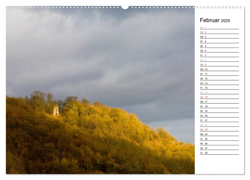 DER STEIGERWALD - Impressionen einer Landschaft (CALVENDO Wandkalender 2025)