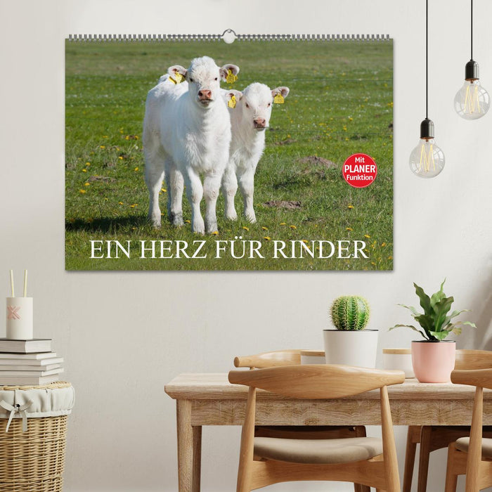 Ein Herz für Rinder (CALVENDO Wandkalender 2025)