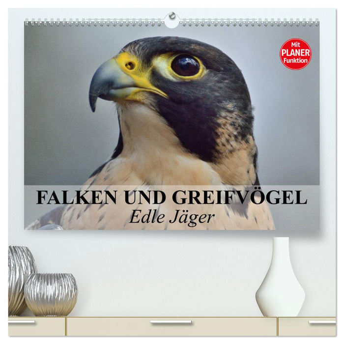 Falken und Greifvögel - Edle Jäger (CALVENDO Premium Wandkalender 2025)