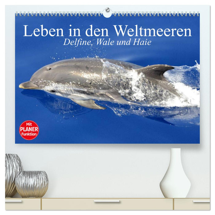 Leben in den Weltmeeren. Delfine, Wale und Haie (CALVENDO Premium Wandkalender 2025)