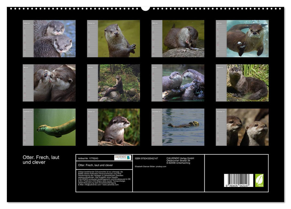 Otter. Frech, laut und clever (CALVENDO Premium Wandkalender 2025)