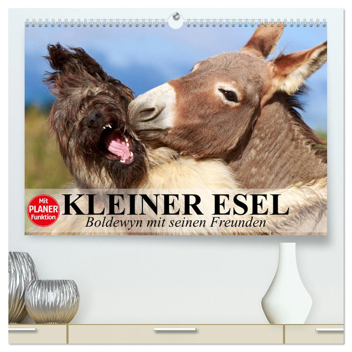 Kleiner Esel. Boldewyn mit seinen Freunden (CALVENDO Premium Wandkalender 2025)