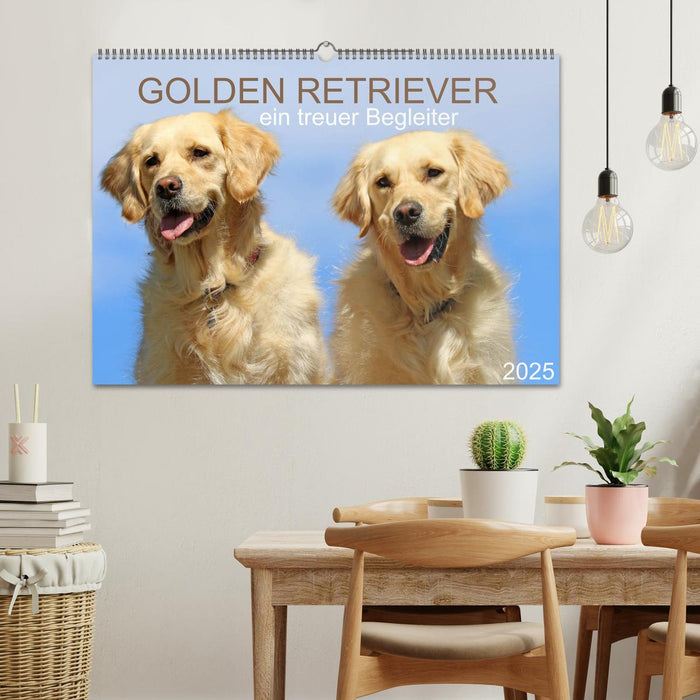 Golden Retriever ein treuer Begleiter (CALVENDO Wandkalender 2025)