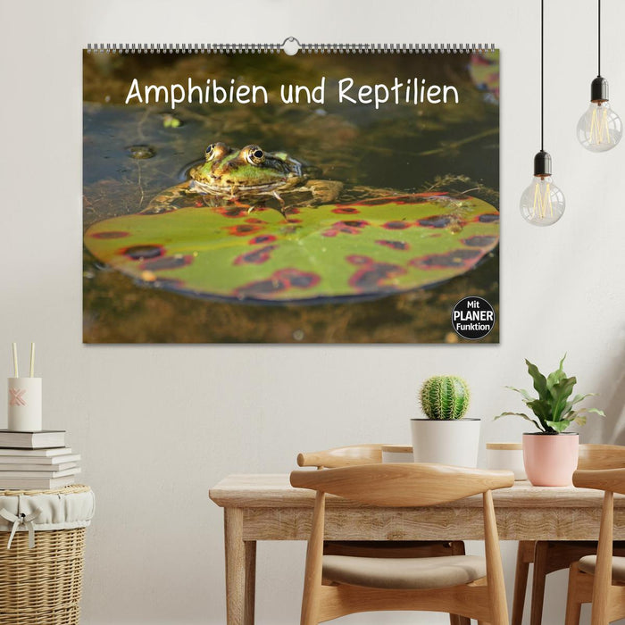 Amphibien und Reptilien (CALVENDO Wandkalender 2025)