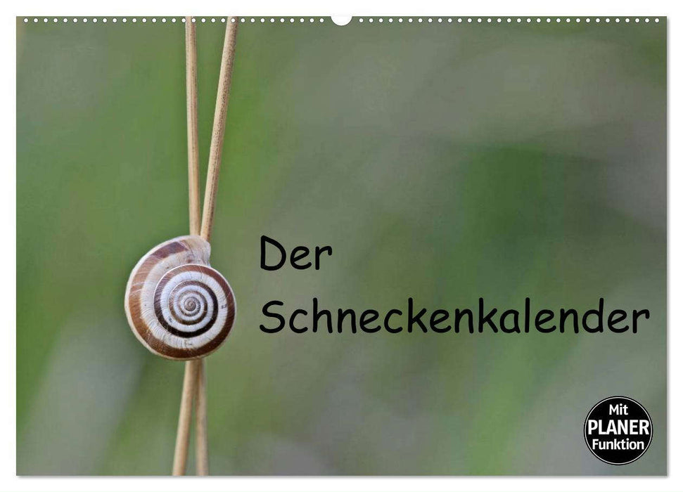 Der Schneckenkalender (CALVENDO Wandkalender 2025)