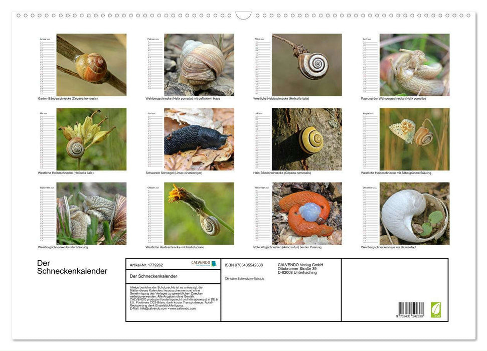 Der Schneckenkalender (CALVENDO Wandkalender 2025)
