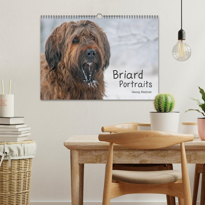 Briard Portraits (CALVENDO Wandkalender 2025)