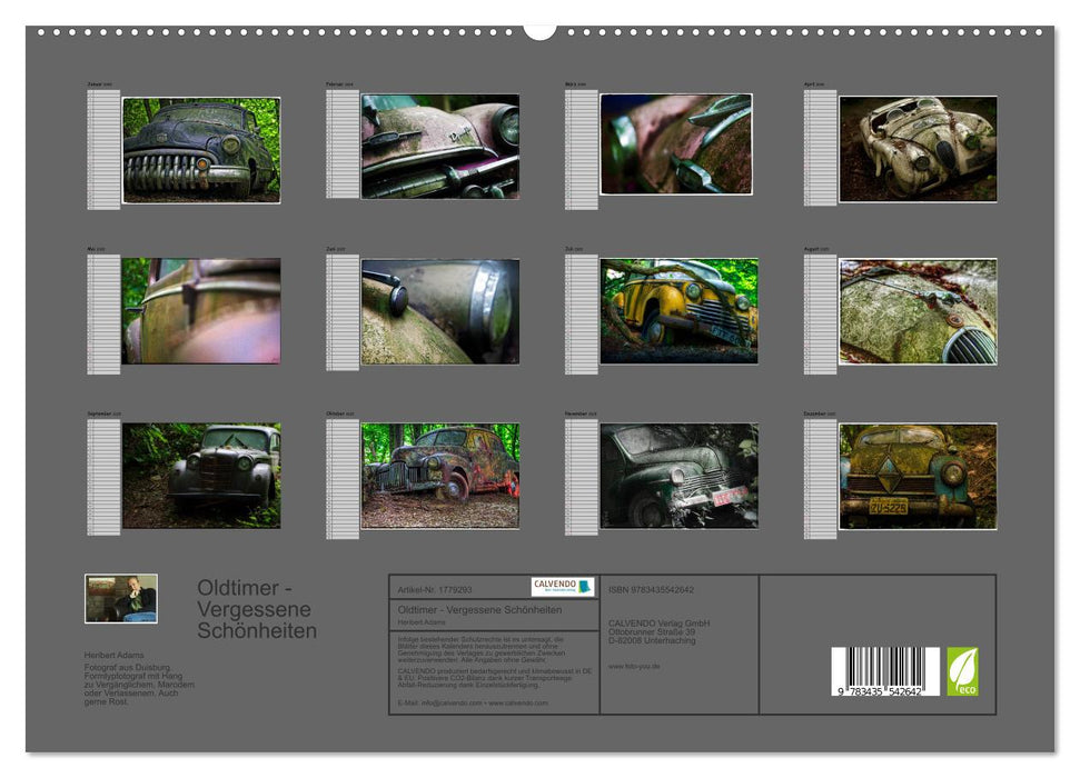 Oldtimer - Vergessene Schönheiten (CALVENDO Premium Wandkalender 2025)