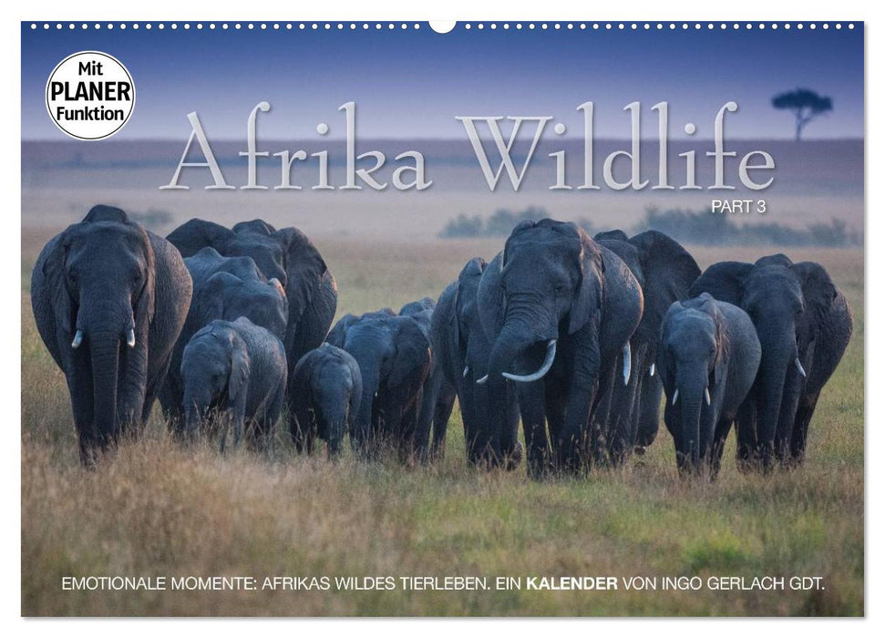 Emotionale Momente: Afrika Wildlife. Part 3. (CALVENDO Wandkalender 2025)