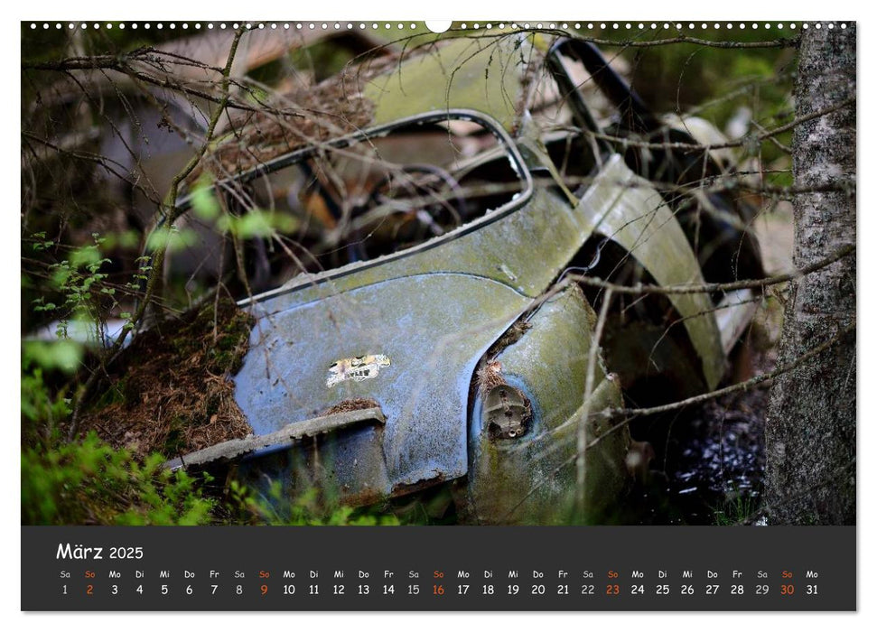 BILKYRKOGÅRDEN Der Autofriedhof im Kyrkö Mosse (CALVENDO Premium Wandkalender 2025)