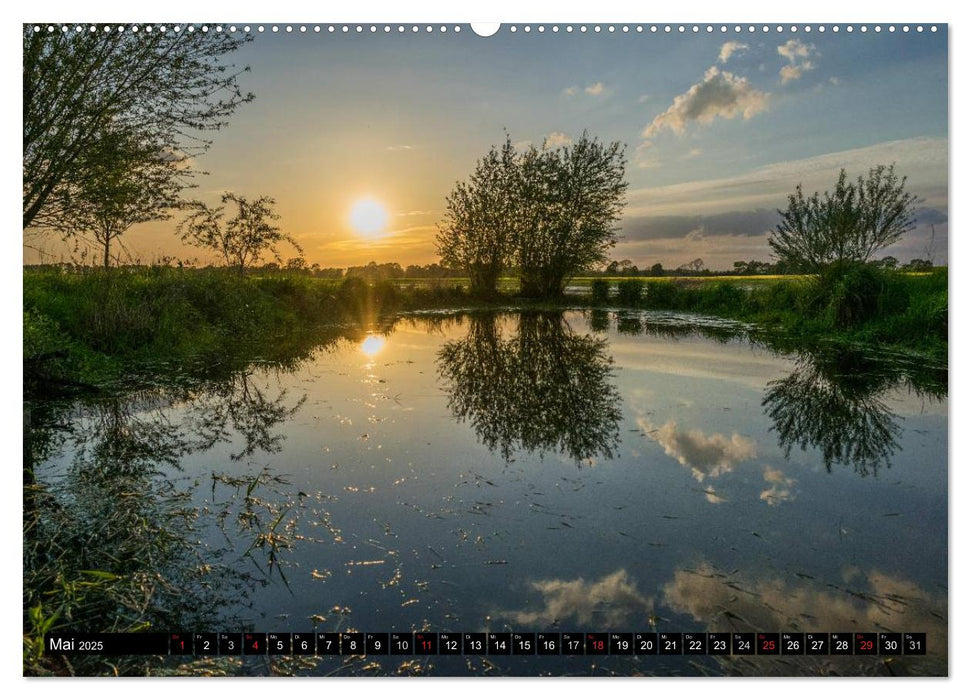 Immer wieder Sonnenschein (CALVENDO Premium Wandkalender 2025)