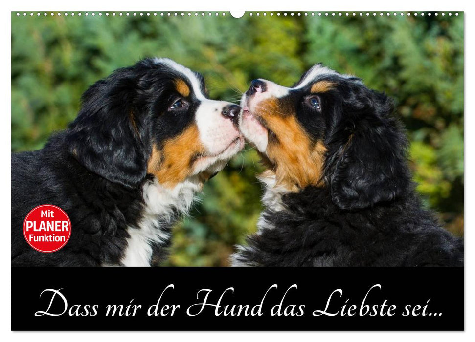 Dass mir der Hund das Liebste sei... (CALVENDO Wandkalender 2025)