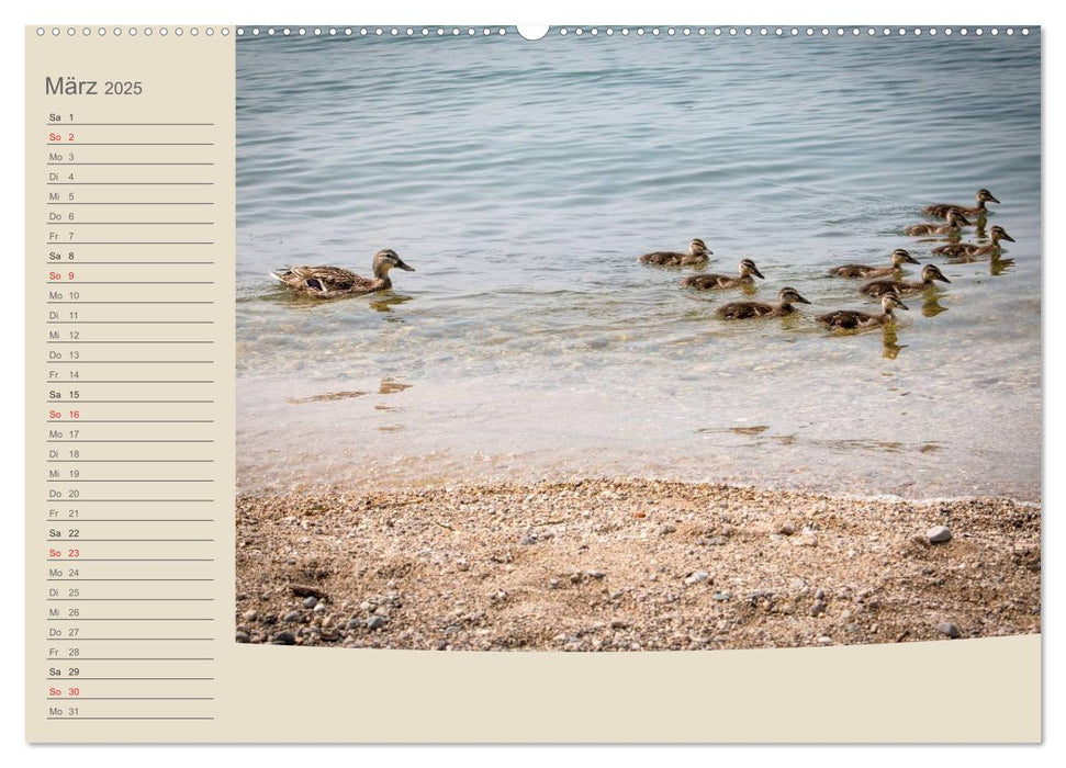 Gardasee - Manerba del Garda (CALVENDO Premium Wandkalender 2025)