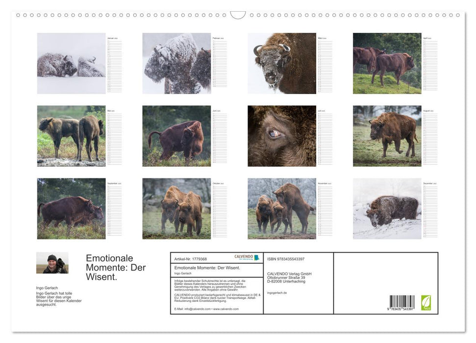 Emotionale Momente: Der Wisent. (CALVENDO Wandkalender 2025)