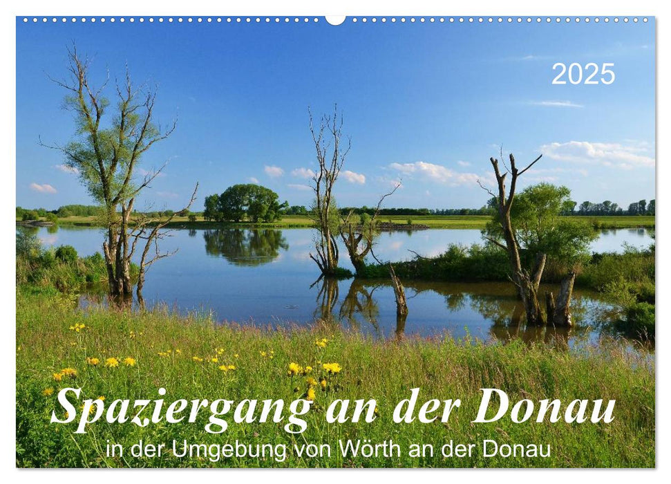 Spaziergang an der Donau (CALVENDO Wandkalender 2025)