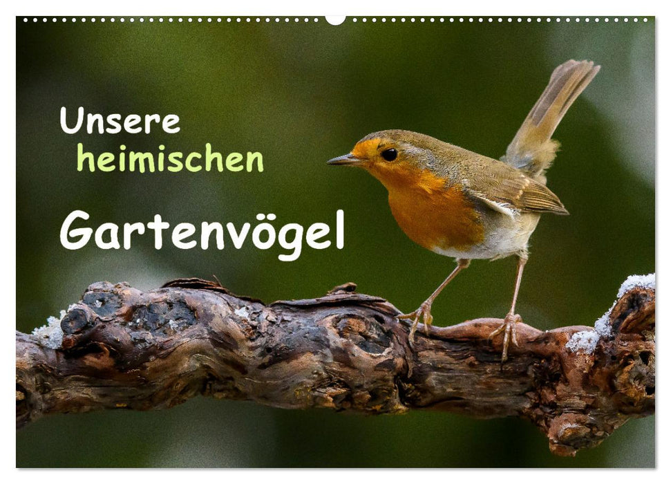 Unsere heimischen Gartenvögel (CALVENDO Wandkalender 2025)