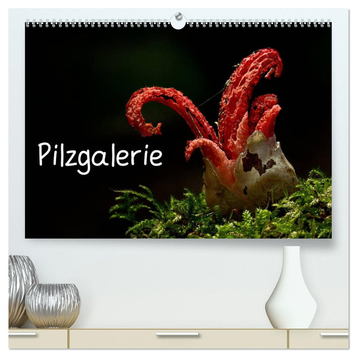 Pilzgalerie (CALVENDO Premium Wandkalender 2025)