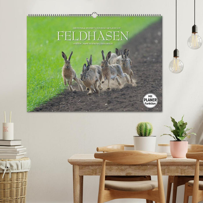 Emotionale Momente: Feldhasen (CALVENDO Wandkalender 2025)