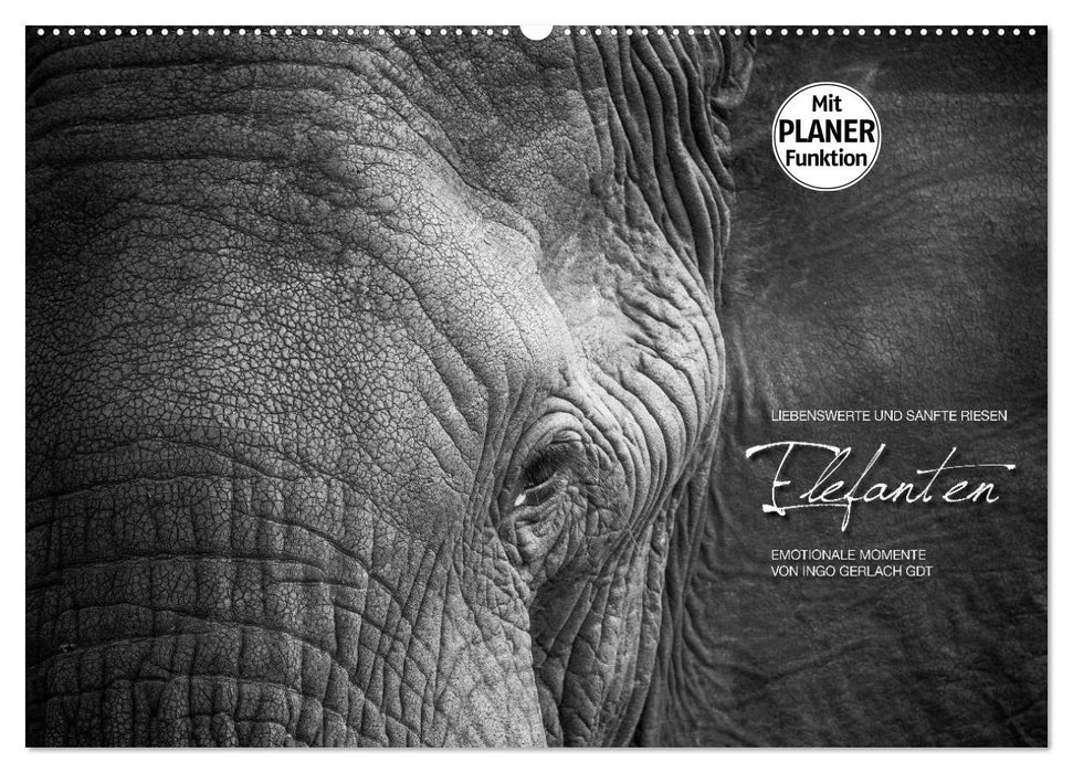 Emotionale Momente: Elefanten in black and white (CALVENDO Wandkalender 2025)