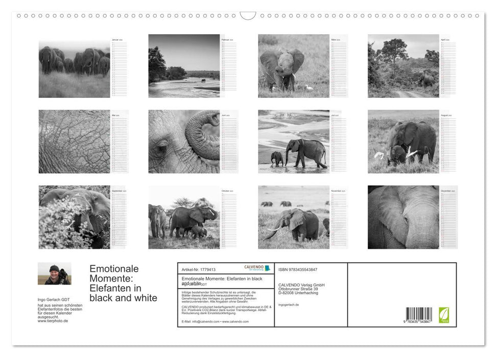 Emotionale Momente: Elefanten in black and white (CALVENDO Wandkalender 2025)