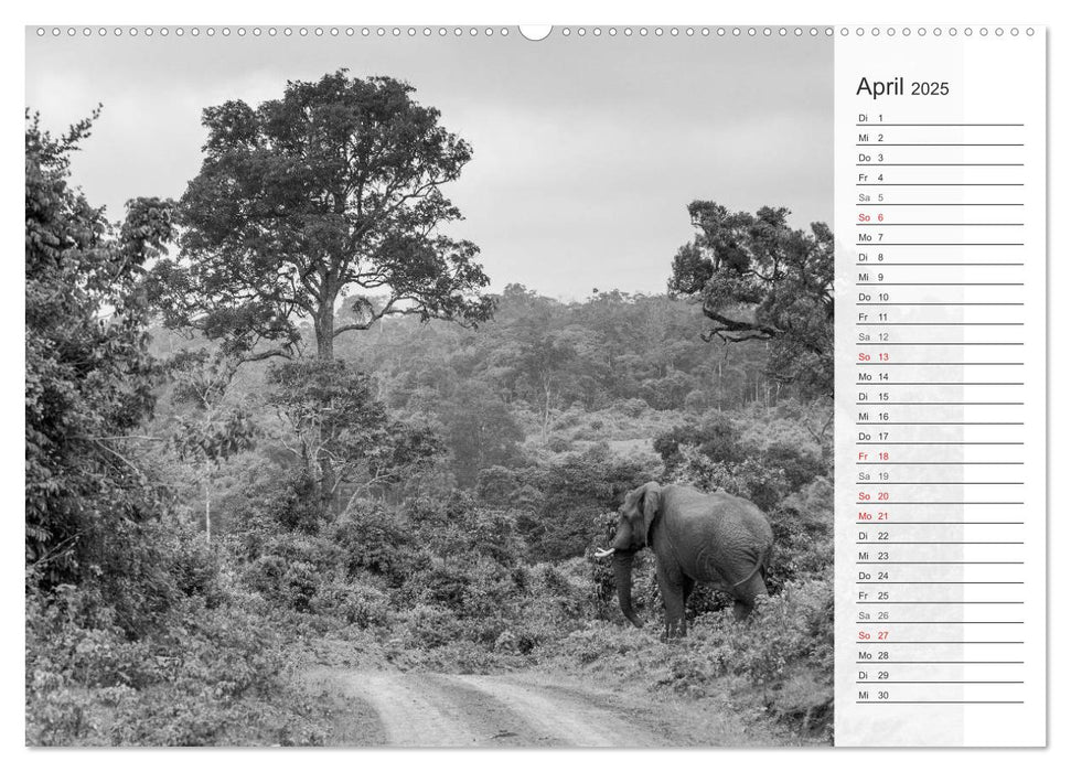 Emotionale Momente: Elefanten in black and white (CALVENDO Wandkalender 2025)