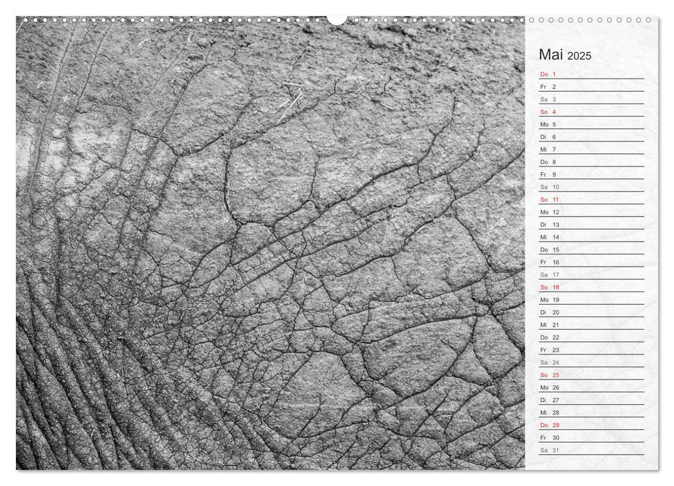 Emotionale Momente: Elefanten in black and white (CALVENDO Wandkalender 2025)