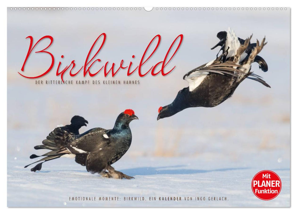 Emotionale Momente: Birkwild (CALVENDO Wandkalender 2025)