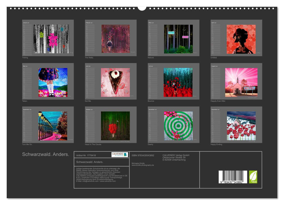 Schwarzwald. Anders. (CALVENDO Premium Wandkalender 2025)
