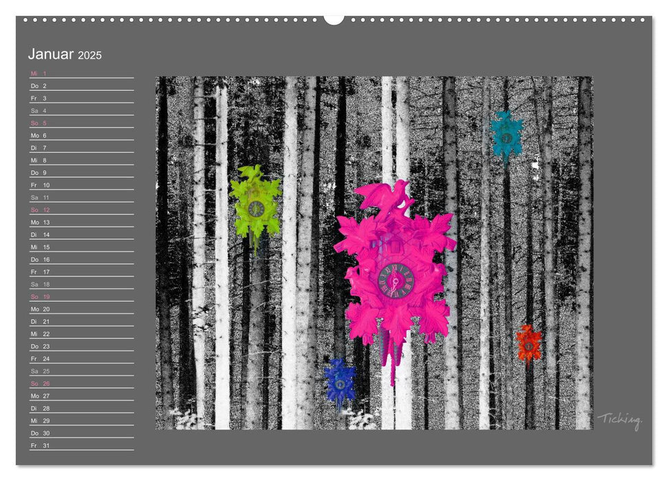 Schwarzwald. Anders. (CALVENDO Premium Wandkalender 2025)