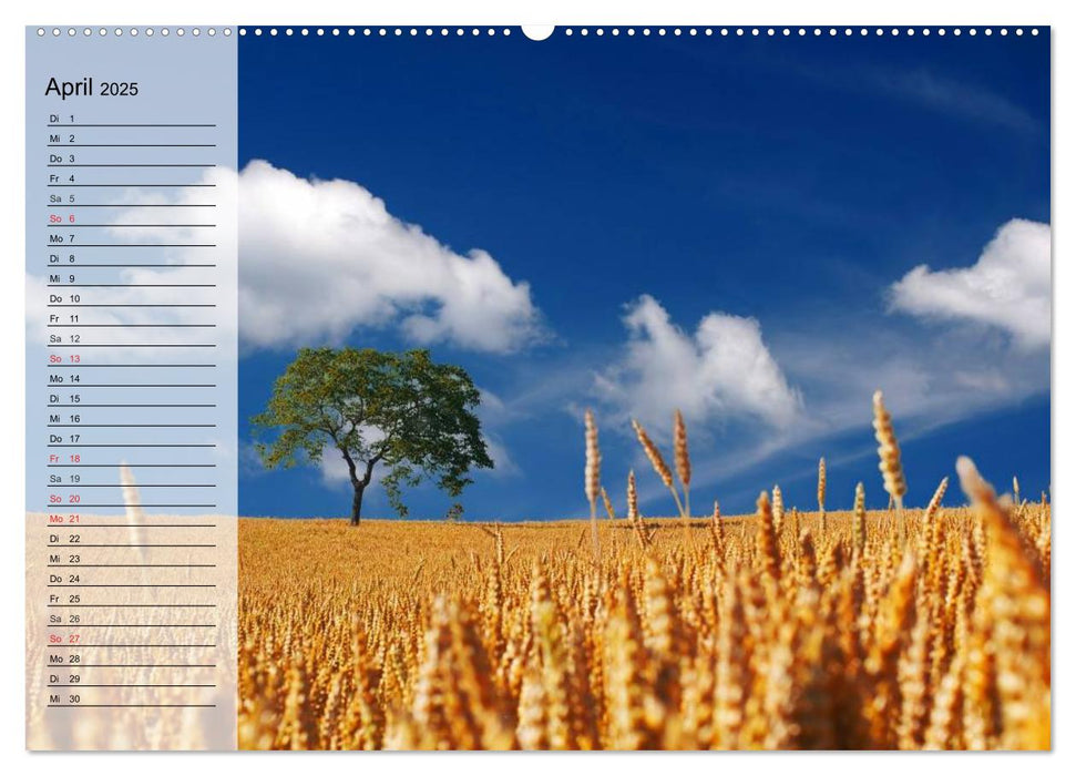 Agrarwirtschaft. Impressionen (CALVENDO Premium Wandkalender 2025)