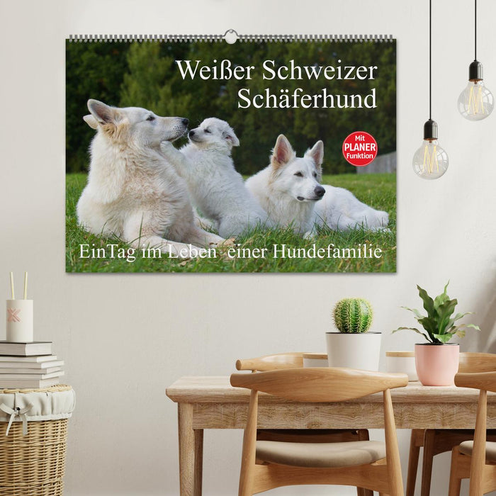 Weißer Schweizer Schäferhund - Ein Tag im Leben einer Hundefamilie (CALVENDO Wandkalender 2025)